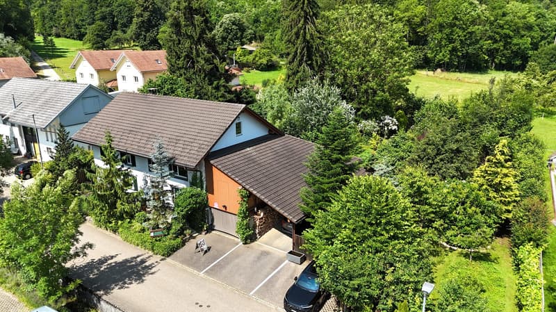 Grande casa colonica di 8,5 locali con giardino di stile parco (38)