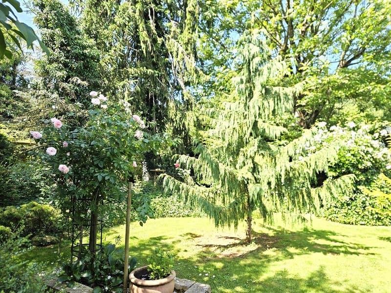 Grande casa colonica di 8,5 locali con giardino di stile parco (48)