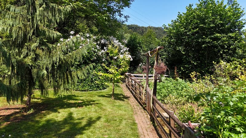 Grande casa colonica di 8,5 locali con giardino di stile parco (52)