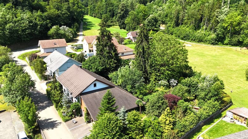 Grande casa colonica di 8,5 locali con giardino di stile parco (54)