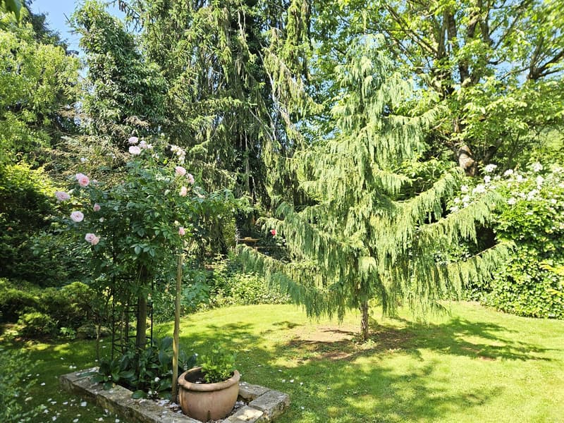 Grande casa colonica di 8,5 locali con giardino di stile parco (44)