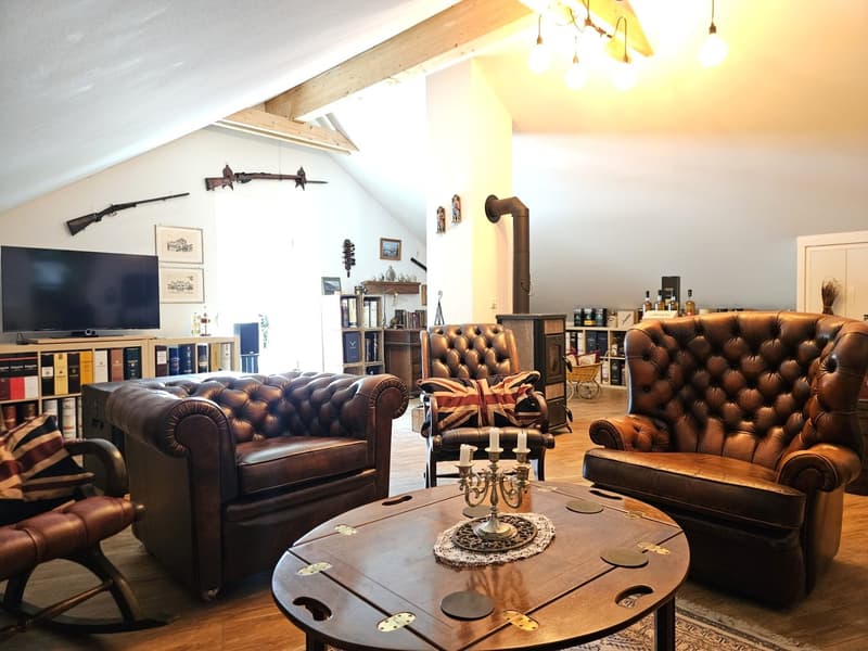wooden floor, fireplace, leather couches, coffee table, TV, bookshelves, decorative items