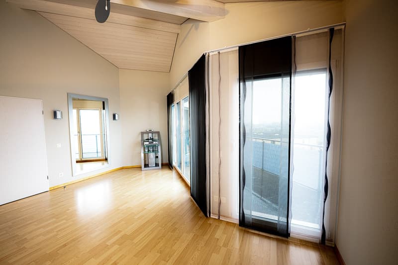 Modern 5.5-room single-family house with pool and dream view in Wohlen (14)