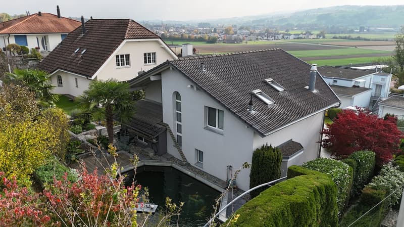 Modern 5.5-room single-family house with pool and dream view in Wohlen (5)