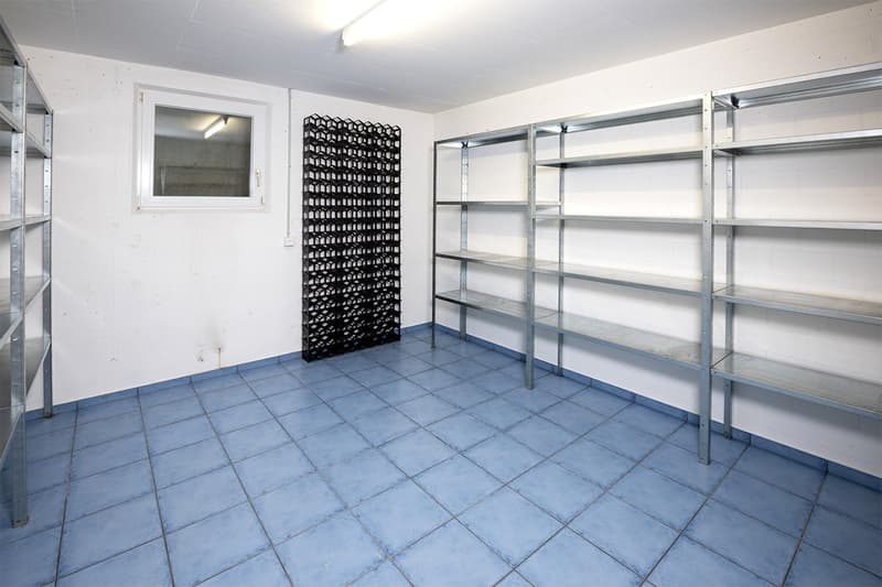 Modern 5.5-room single-family house with pool and dream view in Wohlen (29)