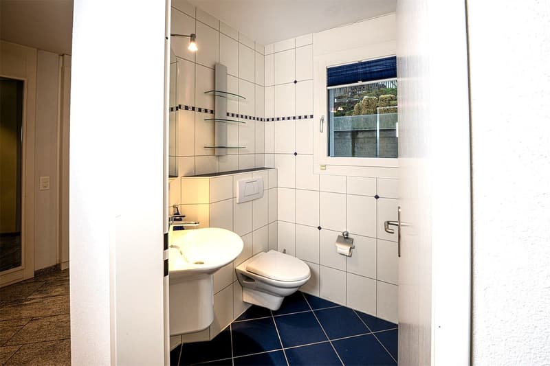 Modern 5.5-room single-family house with pool and dream view in Wohlen (23)