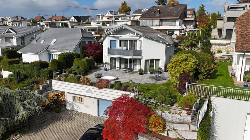 Modern 5.5-room single-family house with pool and dream view in Wohlen (2)