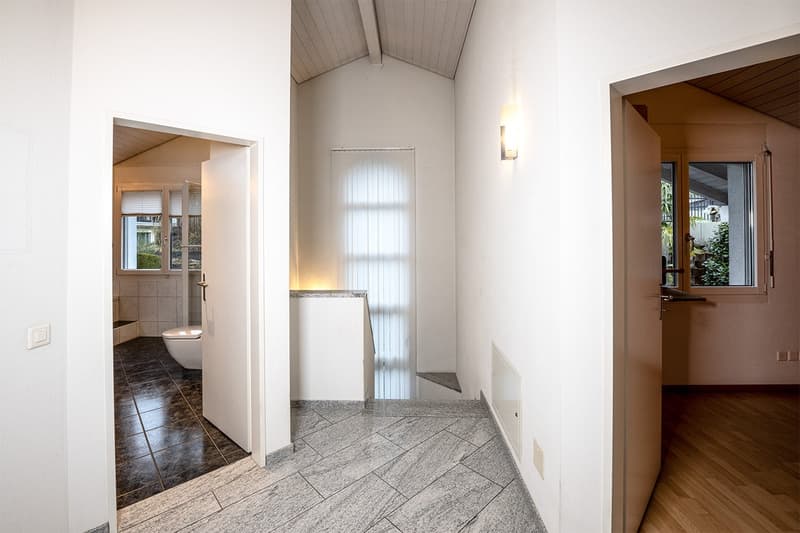Modern 5.5-room single-family house with pool and dream view in Wohlen (22)