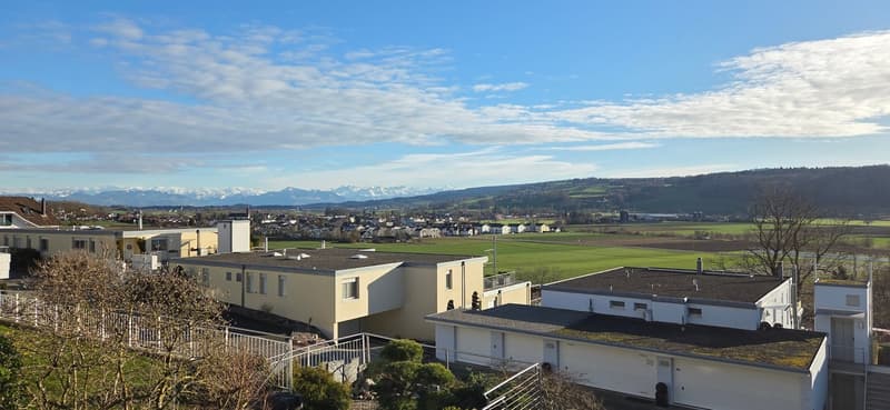 Modern 5.5-room single-family house with pool and dream view in Wohlen (3)