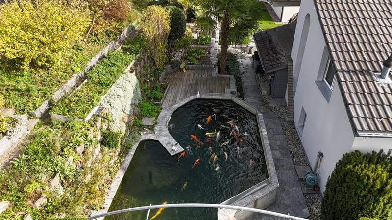 Modern 5.5-room single-family house with pool and dream view in Wohlen (6)