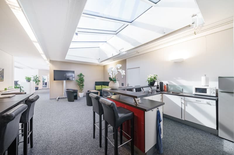 Arbeiten am See ! Gewerbeflächen 1-10 Zimmer ausbaubar (7)