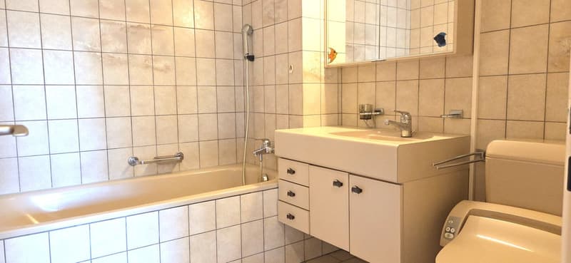 Charming 4.5-room apartment with garden and fireplace in Muhen (10)