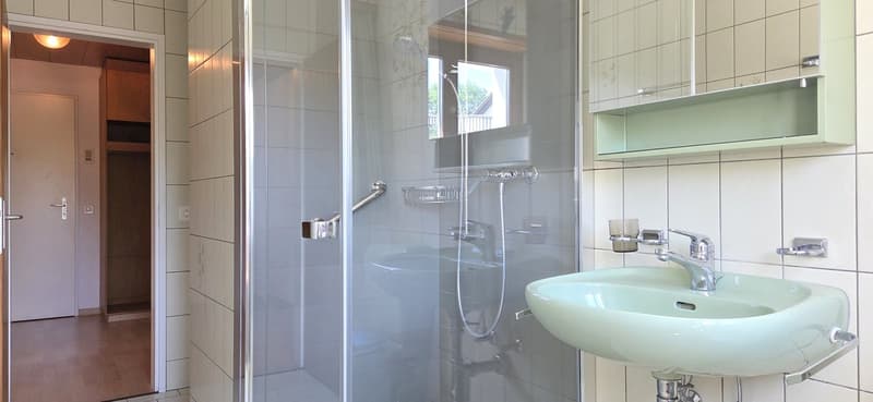 Charming 4.5-room apartment with garden and fireplace in Muhen (12)
