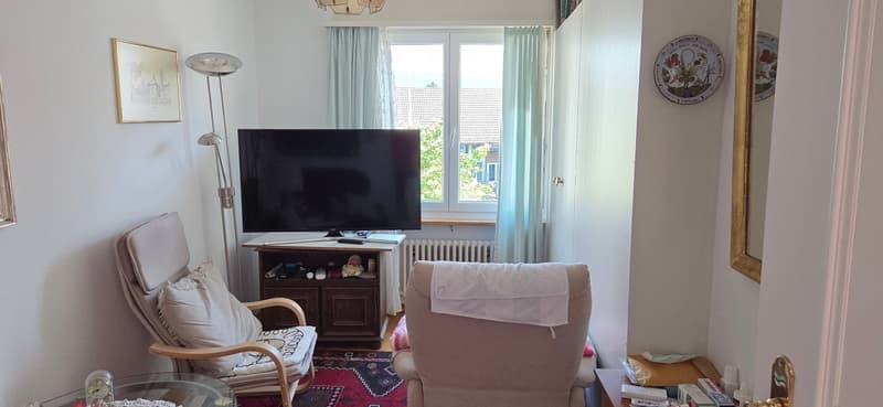 Charming 5.5-room apartment on the 1st floor in Hunzenschwil (8)