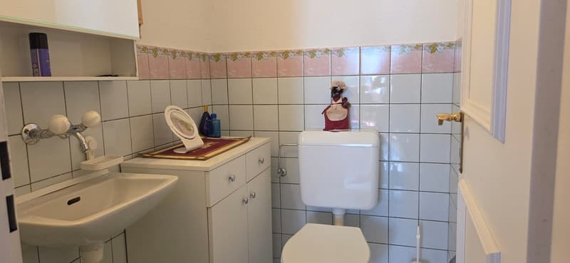 Charming 5.5-room apartment on the 1st floor in Hunzenschwil (13)