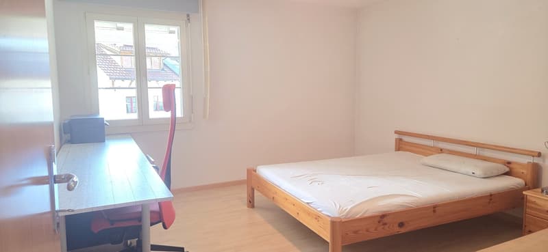 Gepflegte 5.5-Zimmer-Wohnung mit Balkon und schöner Aussicht in Zurzach-Böbikon (7)