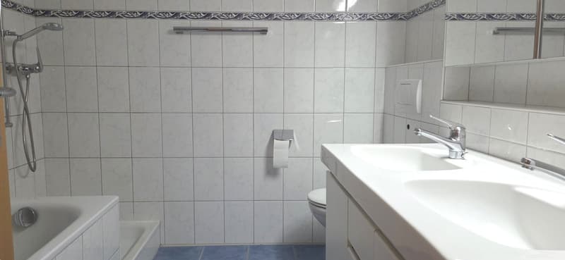 Gepflegte 5.5-Zimmer-Wohnung mit Balkon und schöner Aussicht in Zurzach-Böbikon (11)