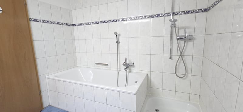 Gepflegte 5.5-Zimmer-Wohnung mit Balkon und schöner Aussicht in Zurzach-Böbikon (12)