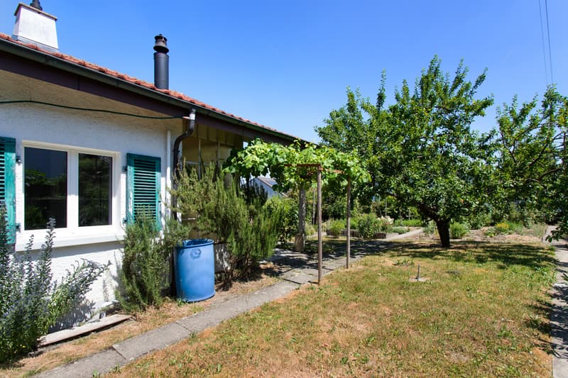 Wunderschöner, grosser Garten