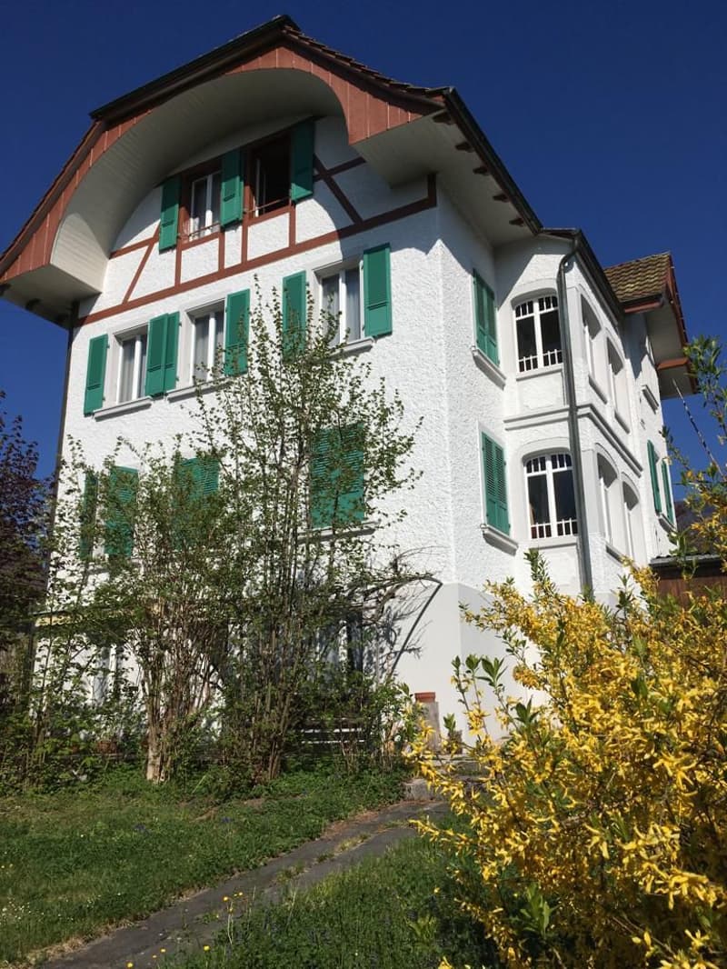 Schöne 3.5 Zimmer Wohnung (1)