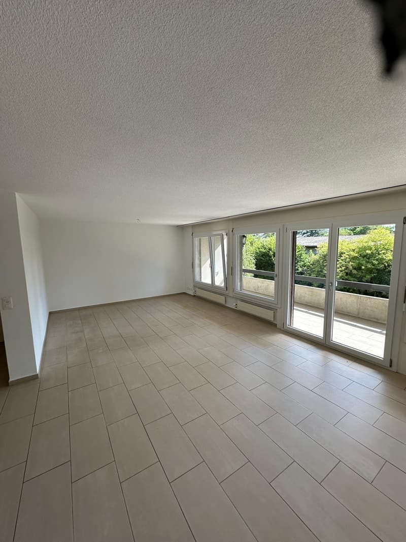 Charmante 4.5-Zimmer-Wohnung in Studen BE – sofort verfügbar! (1)
