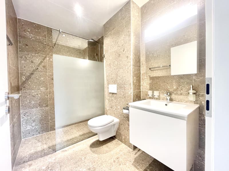 Ideal for rental income! (6)