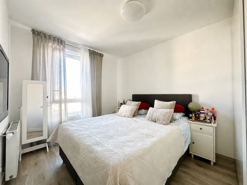 Large family apartment ? Cessy, close to border (6)
