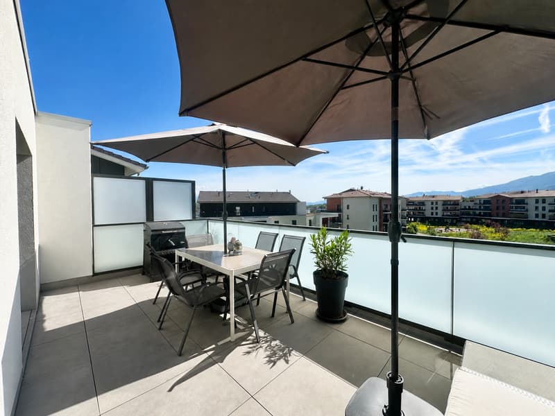 Large family apartment ? Cessy, close to border (1)