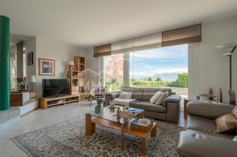 An exceptional living environment between lake and vineyards (7)