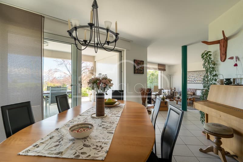 An exceptional living environment between lake and vineyards (6)