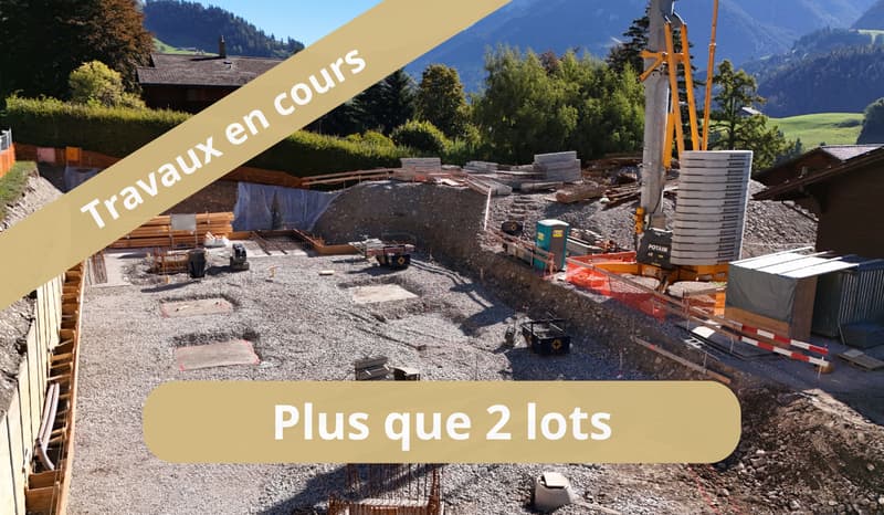 Panorama exceptionnel - Travaux en cours ! (3)