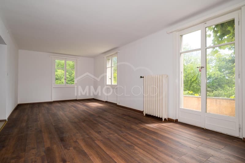 Individual villa in Lausanne with potential (4)