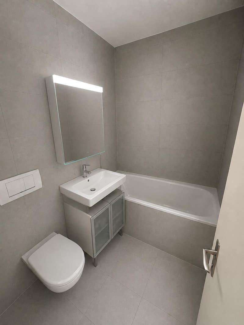 2.5 pièces rénové (3)