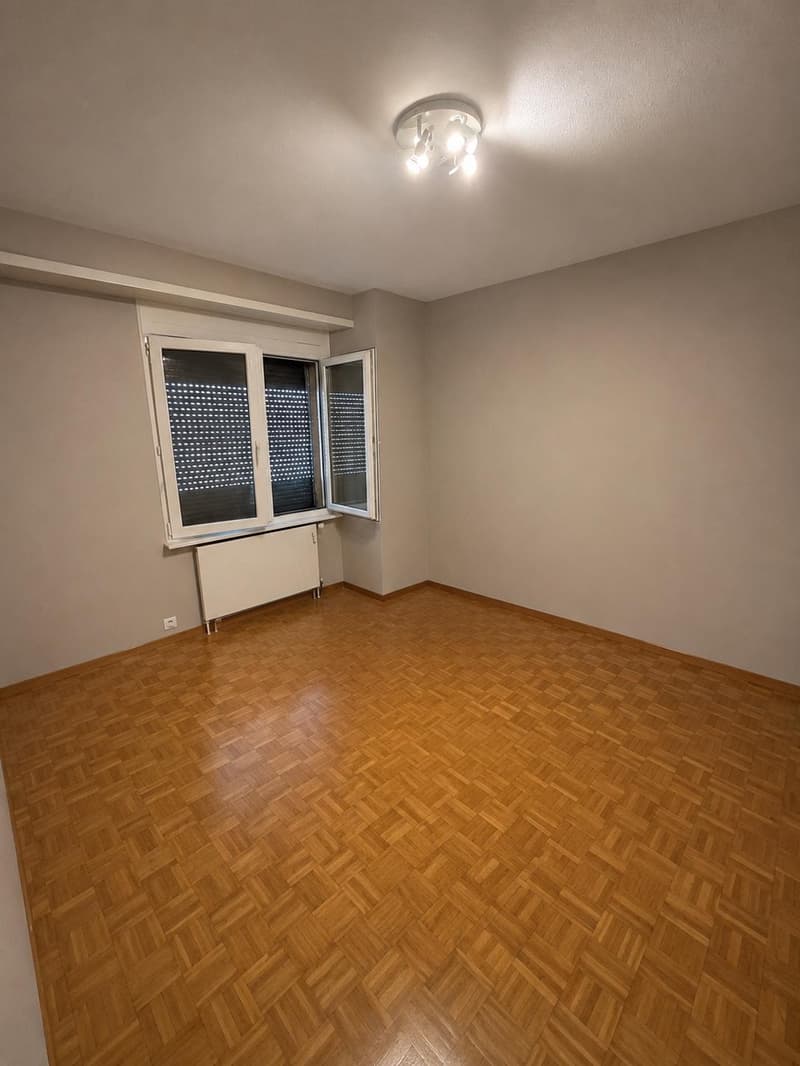 2.5 pièces rénové (2)