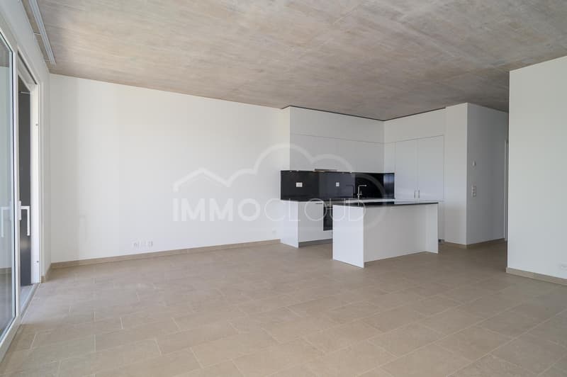 A 4½-room apartment with a view of the Alps and Lake Geneva (4)