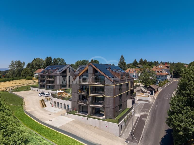 A 4½-room apartment with a view of the Alps and Lake Geneva (2)
