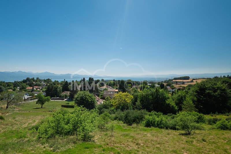 View of the Alps and Lake Geneva! (6)