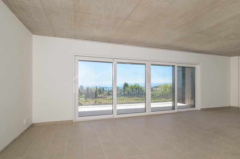 South-facing and overlooking Lake Geneva (6)