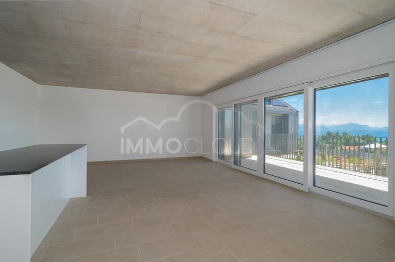 South-facing and overlooking Lake Geneva (5)
