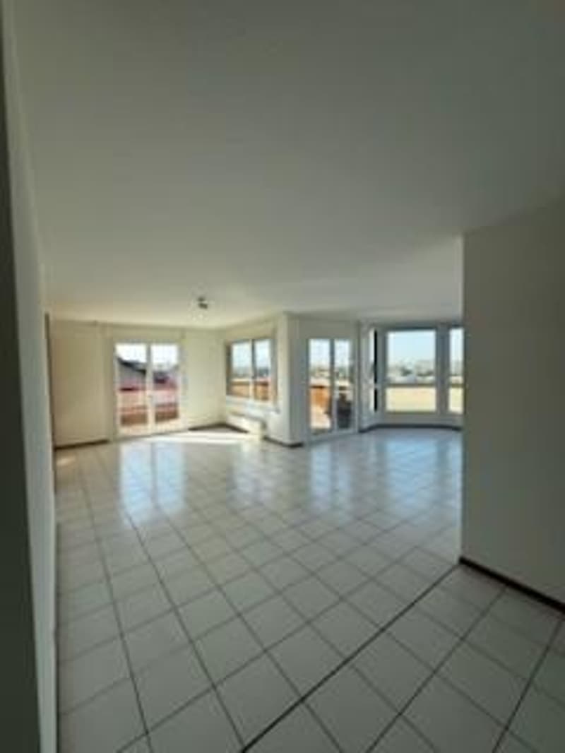 Spacieux appartement de 5,5 pièces (5)
