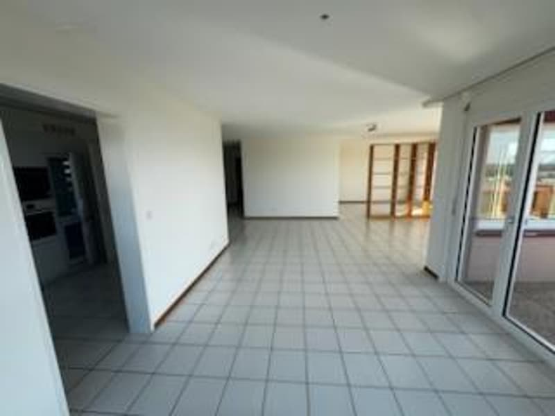 Spacieux appartement de 5,5 pièces (2)
