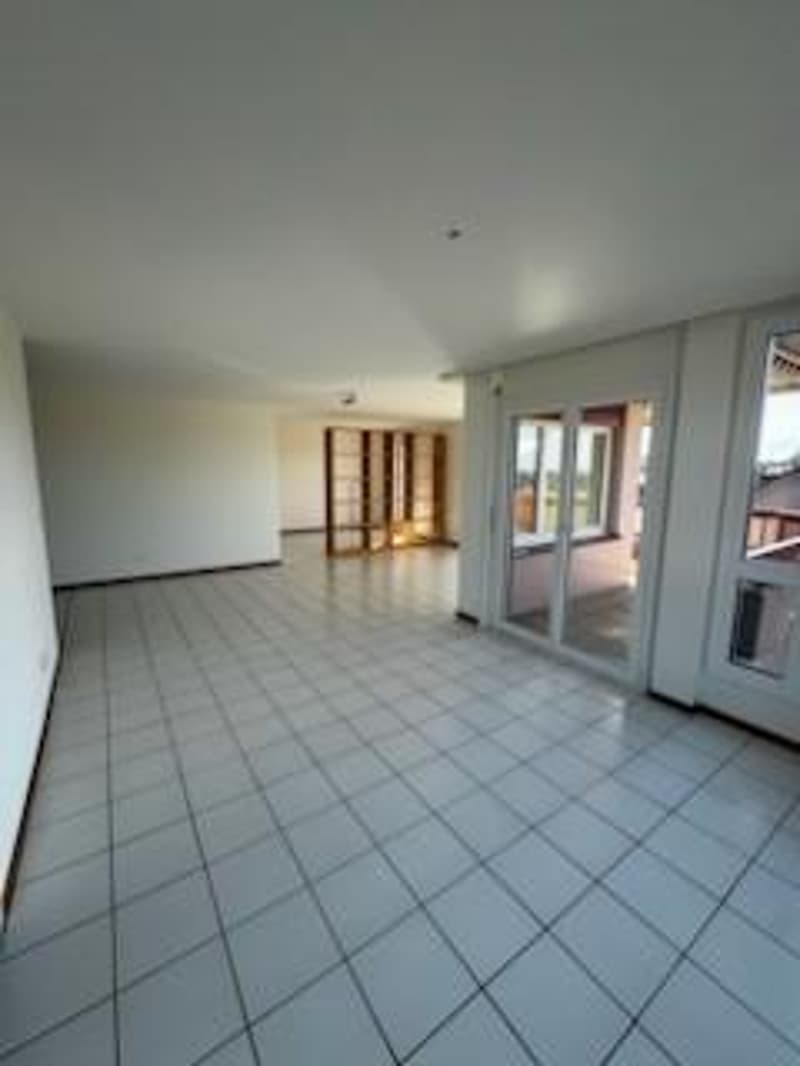 Spacieux appartement de 5,5 pièces (3)