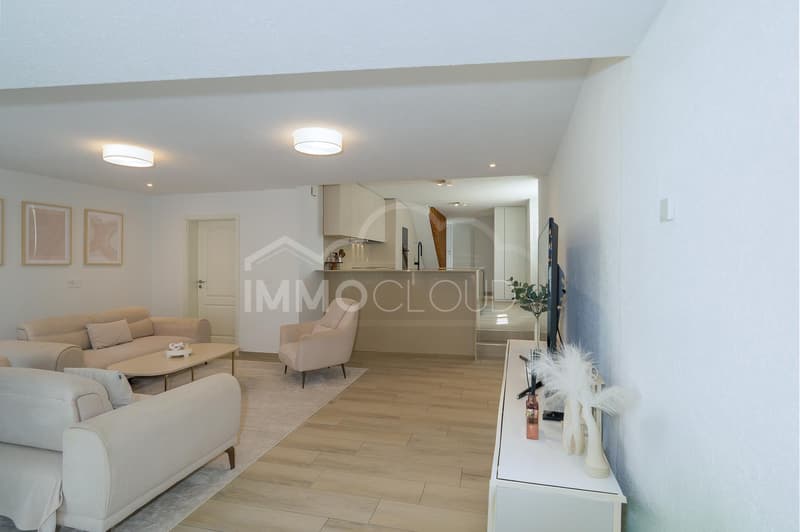 Duplex avec terrasse (11)