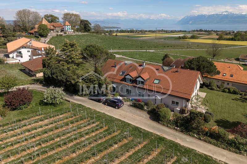CHF 2'000.- offert sur les frais d'achat ! (3)
