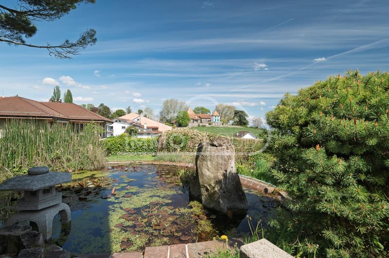 CHF 2'000.- offert sur les frais d'achat ! (11)