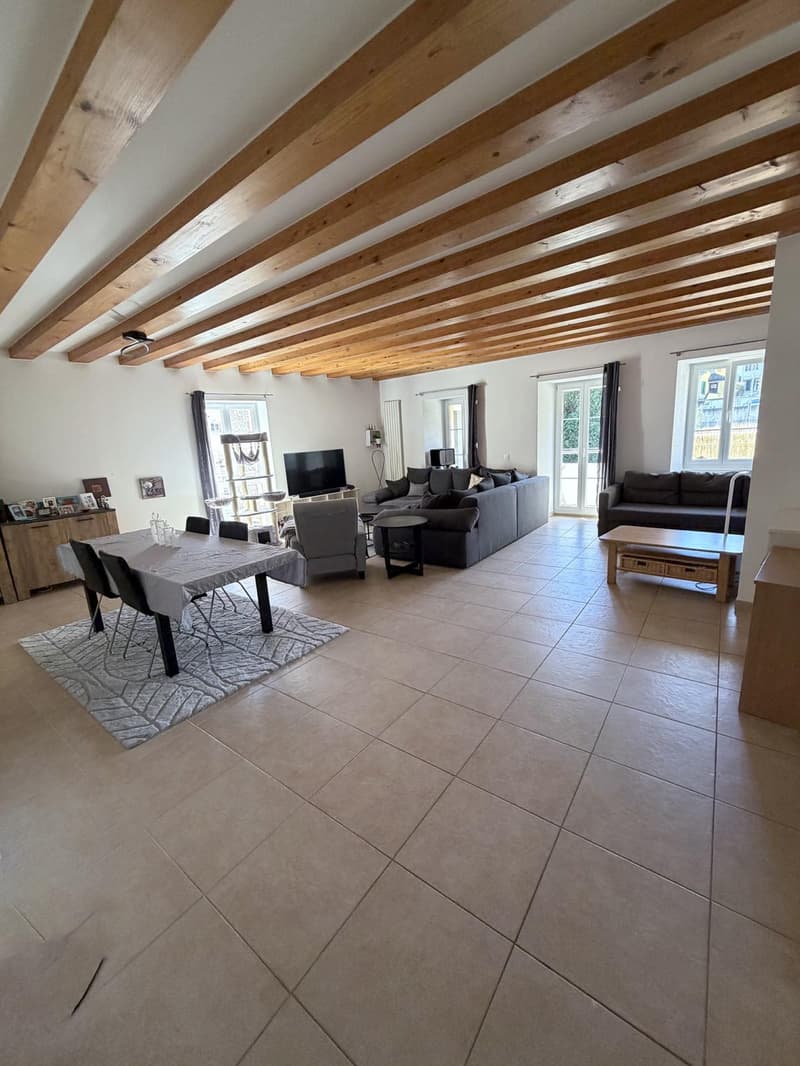 Duplex de 163 m2 ! (1)