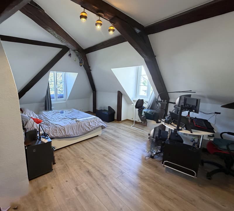 Duplex de 163 m2 ! (7)