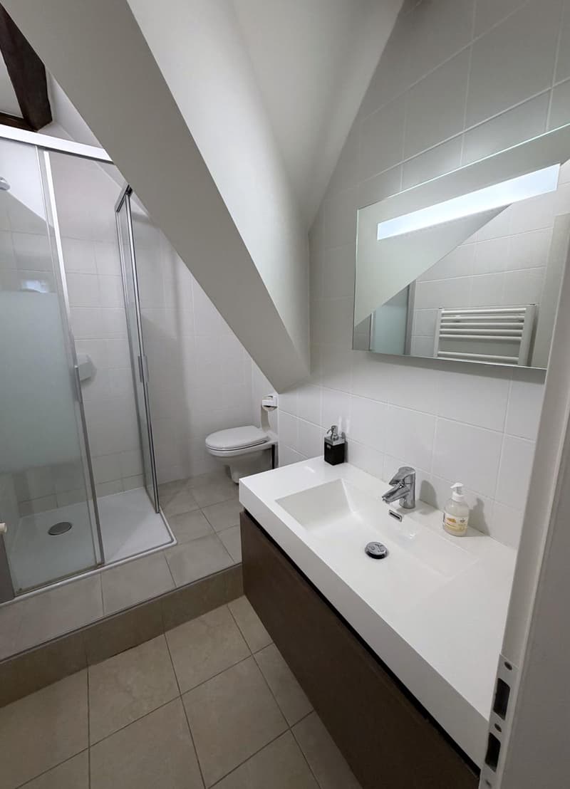 Duplex de 163 m2 ! (9)