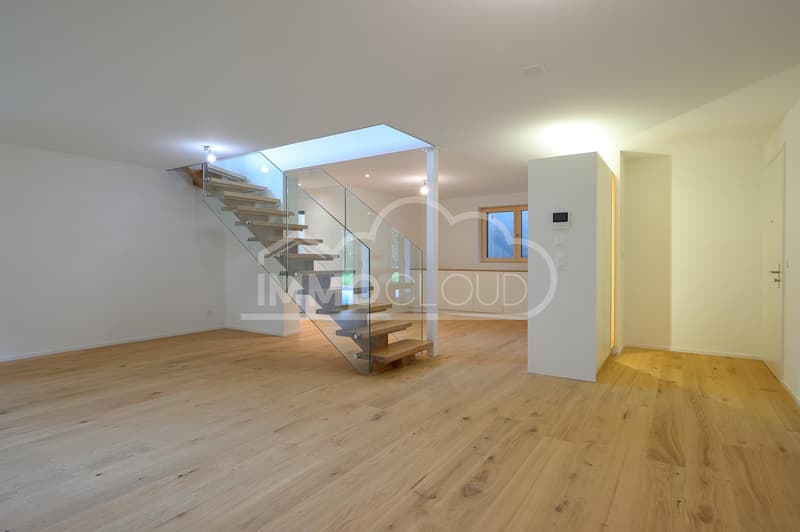 Duplex neuf avec terrasses (8)
