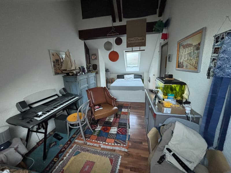 Maison mitoyenne de 4,5 pièces avec jardin privatif et terrasse (10)